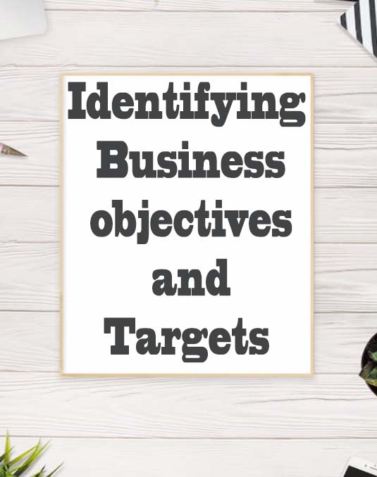 Setting Digital Marketing Goals: Identifying business objectives and targets